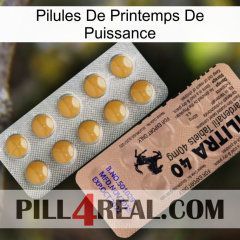 Power Spring Pills 41